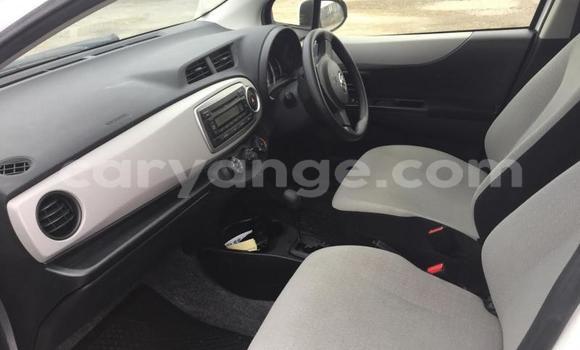 Acheter Import Voiture Toyota Vitz Autre à Windhoek, Namibie Acheter Import Voiture Toyota Vitz Autre à Windhoek, Namibie