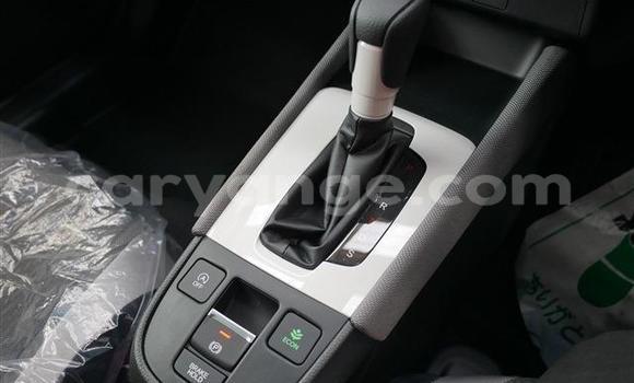 Buy Import Honda FIT Other Car in Windhoek in Namibia Buy Import Honda FIT Other Car in Windhoek in Namibia