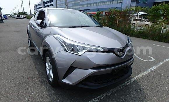Buy Import Toyota C-HR Other Car in Windhoek in Namibia Buy Import Toyota C-HR Other Car in Windhoek in Namibia