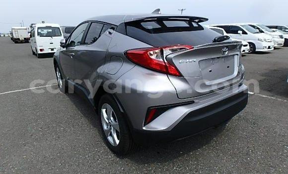 Buy Import Toyota C-HR Other Car in Windhoek in Namibia Buy Import Toyota C-HR Other Car in Windhoek in Namibia