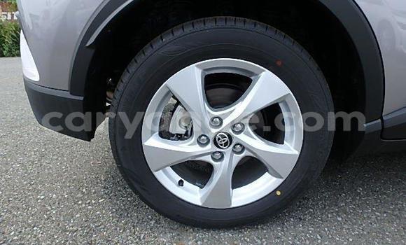 Buy Import Toyota C-HR Other Car in Windhoek in Namibia Buy Import Toyota C-HR Other Car in Windhoek in Namibia