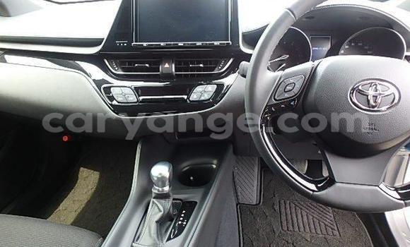 Buy Import Toyota C-HR Other Car in Windhoek in Namibia Buy Import Toyota C-HR Other Car in Windhoek in Namibia