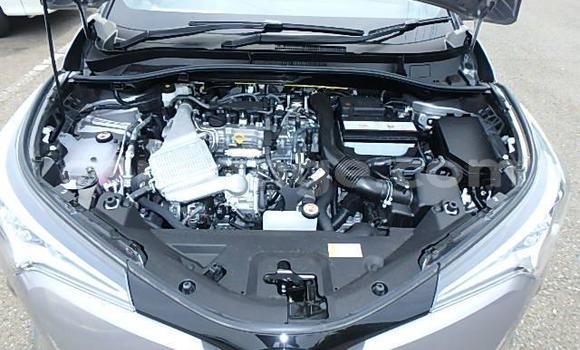 Buy Import Toyota C-HR Other Car in Windhoek in Namibia Buy Import Toyota C-HR Other Car in Windhoek in Namibia