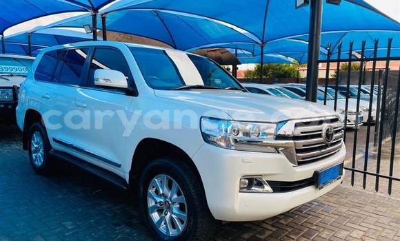 Acheter Occasion Voiture Toyota Land Cruiser Blanc à Karasburg, Karas