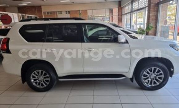 Buy Used Toyota Prado White Car in Windhoek in Namibia