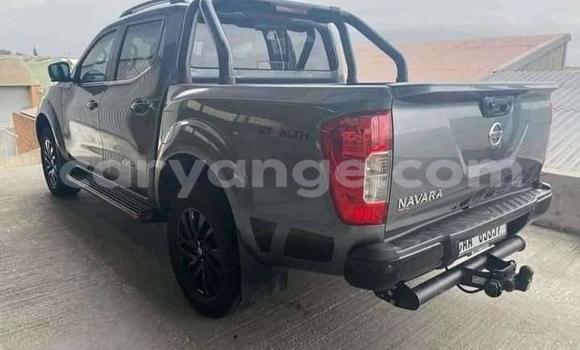 Buy Used Nissan Navara Silver Car in Windhoek in Namibia Buy Used Nissan Navara Silver Car in Windhoek in Namibia