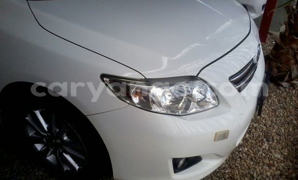 Buy Used Toyota Corolla White Car in Windhoek in Namibia Buy Used Toyota Corolla White Car in Windhoek in Namibia