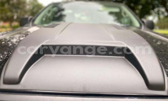 Acheter Import Voiture Ford Ranger Autre à Windhoek, Namibie Acheter Import Voiture Ford Ranger Autre à Windhoek, Namibie