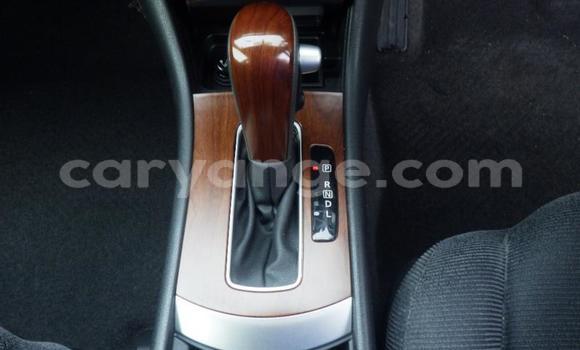 Buy Used Nissan Bluebird Silver Car in Okahandja in Namibia Buy Used Nissan Bluebird Silver Car in Okahandja in Namibia