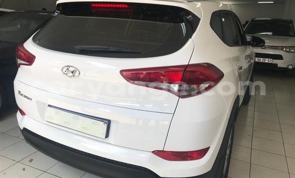 Buy Used Hyundai Tucson White Car in Windhoek in Namibia Buy Used Hyundai Tucson White Car in Windhoek in Namibia
