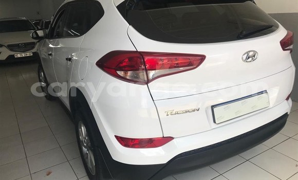 Buy Used Hyundai Tucson White Car in Windhoek in Namibia Buy Used Hyundai Tucson White Car in Windhoek in Namibia