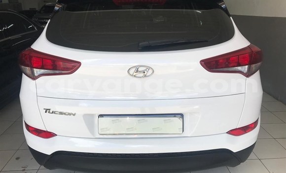 Buy Used Hyundai Tucson White Car in Windhoek in Namibia Buy Used Hyundai Tucson White Car in Windhoek in Namibia
