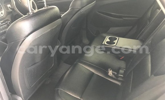 Buy Used Hyundai Tucson White Car in Windhoek in Namibia Buy Used Hyundai Tucson White Car in Windhoek in Namibia