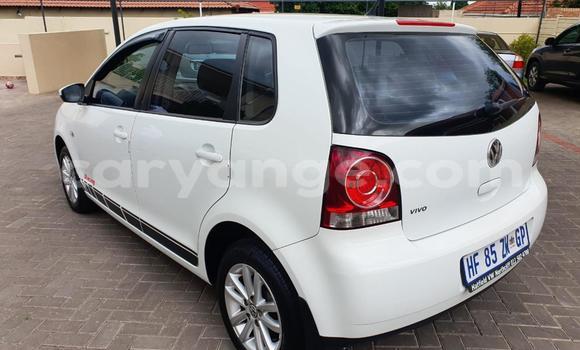 Buy Used Volkswagen Polo White Car in Windhoek in Namibia Buy Used Volkswagen Polo White Car in Windhoek in Namibia