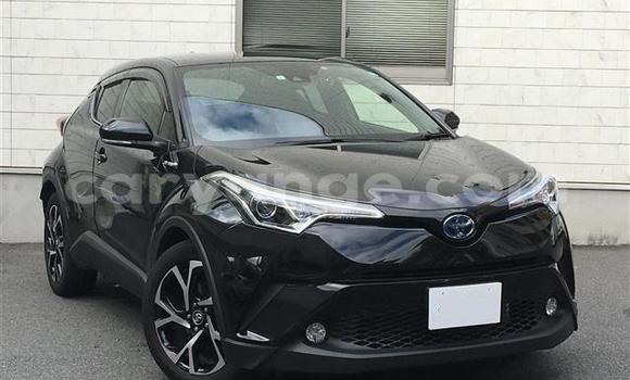 Buy Import Toyota C-HR Black Car in Windhoek in Namibia