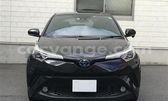 Buy Import Toyota C-HR Black Car in Windhoek in Namibia Buy Import Toyota C-HR Black Car in Windhoek in Namibia