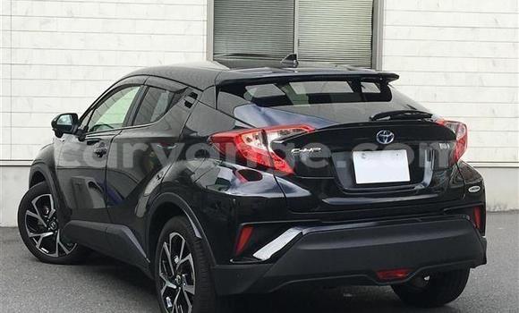 Buy Import Toyota C-HR Black Car in Windhoek in Namibia Buy Import Toyota C-HR Black Car in Windhoek in Namibia