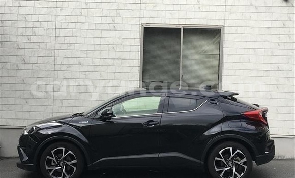 Buy Import Toyota C-HR Black Car in Windhoek in Namibia Buy Import Toyota C-HR Black Car in Windhoek in Namibia