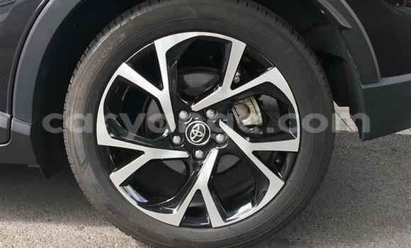 Buy Import Toyota C-HR Black Car in Windhoek in Namibia Buy Import Toyota C-HR Black Car in Windhoek in Namibia
