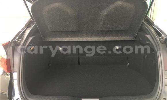 Buy Import Toyota C-HR Black Car in Windhoek in Namibia Buy Import Toyota C-HR Black Car in Windhoek in Namibia