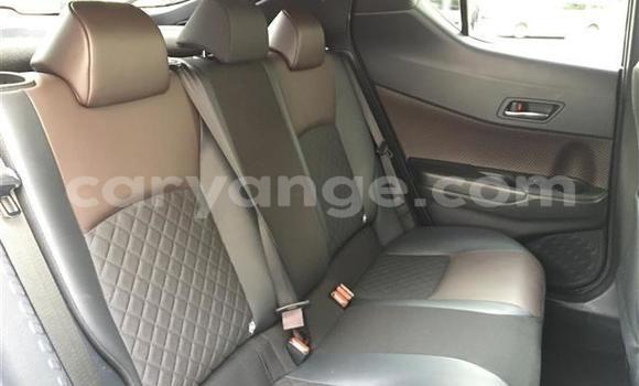 Buy Import Toyota C-HR Black Car in Windhoek in Namibia Buy Import Toyota C-HR Black Car in Windhoek in Namibia
