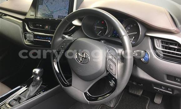 Buy Import Toyota C-HR Black Car in Windhoek in Namibia Buy Import Toyota C-HR Black Car in Windhoek in Namibia