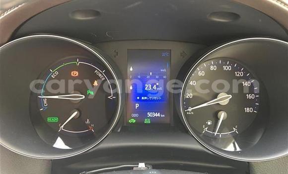 Buy Import Toyota C-HR Black Car in Windhoek in Namibia Buy Import Toyota C-HR Black Car in Windhoek in Namibia