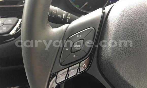 Buy Import Toyota C-HR Black Car in Windhoek in Namibia Buy Import Toyota C-HR Black Car in Windhoek in Namibia
