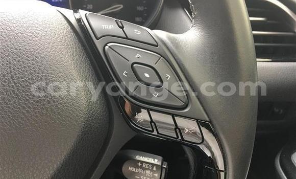 Buy Import Toyota C-HR Black Car in Windhoek in Namibia Buy Import Toyota C-HR Black Car in Windhoek in Namibia