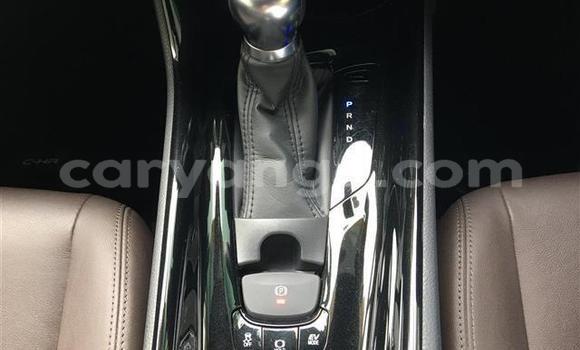 Buy Import Toyota C-HR Black Car in Windhoek in Namibia Buy Import Toyota C-HR Black Car in Windhoek in Namibia