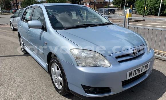 Buy Used Toyota Corolla Other Car in Windhoek in Namibia