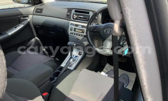 Acheter Occasion Voiture Toyota Corolla Autre à Windhoek, Namibie Acheter Occasion Voiture Toyota Corolla Autre à Windhoek, Namibie