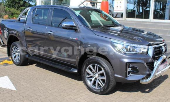 Acheter Occasion Voiture Toyota Hilux Gris à Karasburg, Karas