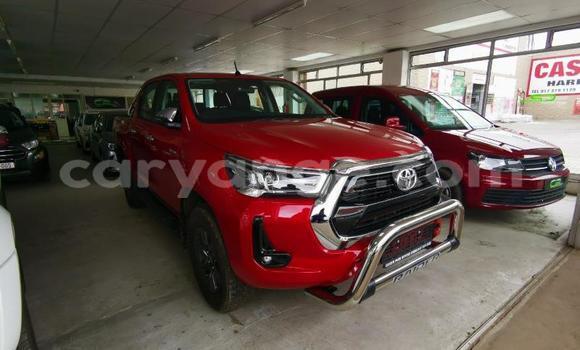 Buy Used Toyota Hilux Red Car in Grootfontein in Namibia