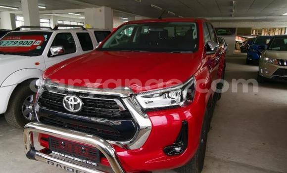 Buy Used Toyota Hilux Red Car in Grootfontein in Namibia Buy Used Toyota Hilux Red Car in Grootfontein in Namibia