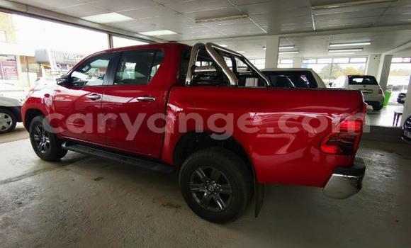 Buy Used Toyota Hilux Red Car in Grootfontein in Namibia Buy Used Toyota Hilux Red Car in Grootfontein in Namibia
