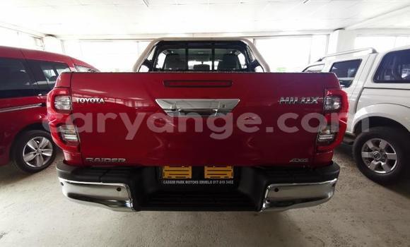 Buy Used Toyota Hilux Red Car in Grootfontein in Namibia Buy Used Toyota Hilux Red Car in Grootfontein in Namibia