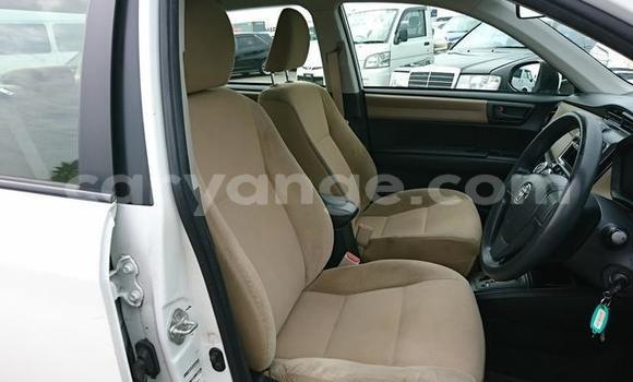 Acheter Import Voiture Toyota Axio Blanc à Windhoek, Namibie Acheter Import Voiture Toyota Axio Blanc à Windhoek, Namibie