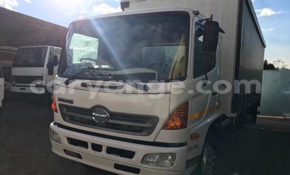 Buy Used Hino 300 Series White Truck in Windhoek in Namibia