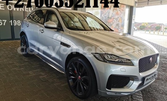 Buy Used Jaguar F-Pace White Car in Windhoek in Namibia Buy Used Jaguar F-Pace White Car in Windhoek in Namibia