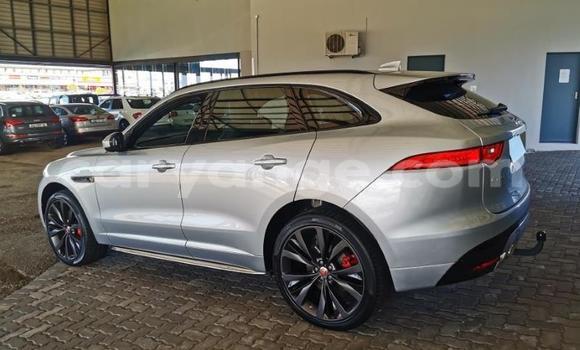 Acheter Occasion Voiture Jaguar F-Pace Blanc à Windhoek, Namibie Acheter Occasion Voiture Jaguar F-Pace Blanc à Windhoek, Namibie