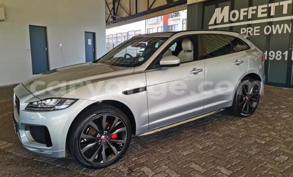 Acheter Occasion Voiture Jaguar F-Pace Blanc à Windhoek, Namibie Acheter Occasion Voiture Jaguar F-Pace Blanc à Windhoek, Namibie