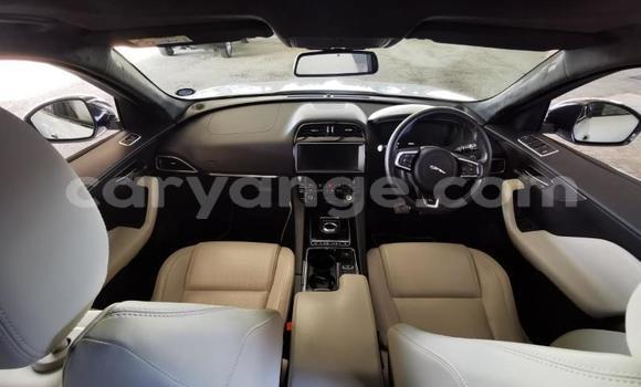 Acheter Occasion Voiture Jaguar F-Pace Blanc à Windhoek, Namibie Acheter Occasion Voiture Jaguar F-Pace Blanc à Windhoek, Namibie