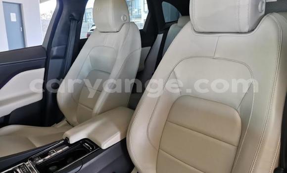 Acheter Occasion Voiture Jaguar F-Pace Blanc à Windhoek, Namibie Acheter Occasion Voiture Jaguar F-Pace Blanc à Windhoek, Namibie