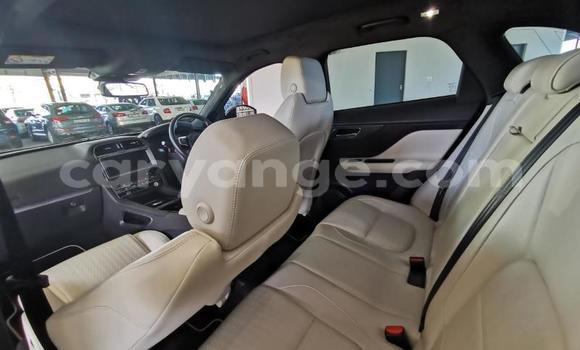 Acheter Occasion Voiture Jaguar F-Pace Blanc à Windhoek, Namibie Acheter Occasion Voiture Jaguar F-Pace Blanc à Windhoek, Namibie