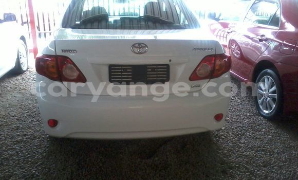 Buy Used Toyota Corolla White Car in Windhoek in Namibia Buy Used Toyota Corolla White Car in Windhoek in Namibia
