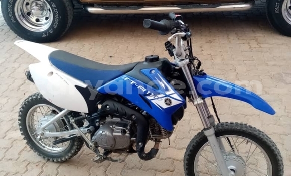 Buy Used Yamada Yexiang Blue Bike in Rehoboth in Hardap