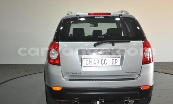 Buy Used Chevrolet Captiva White Car in Windhoek in Namibia Buy Used Chevrolet Captiva White Car in Windhoek in Namibia