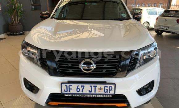 Buy Used Nissan Navara White Car in Windhoek in Namibia