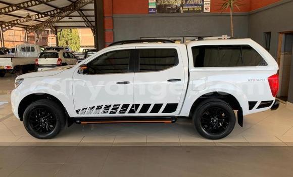 Buy Used Nissan Navara White Car in Windhoek in Namibia Buy Used Nissan Navara White Car in Windhoek in Namibia